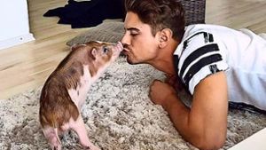 Model Dominik Bruntner, der Mister Germany von 2017,  mit seinem Schweinchen Bella. Foto: Bruntner