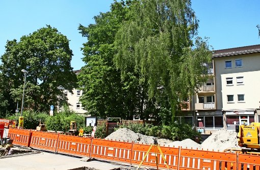 Die hohen Bäume am Wiesbadener Platz werden weichen müssen. Foto: Oliver von Schaewen