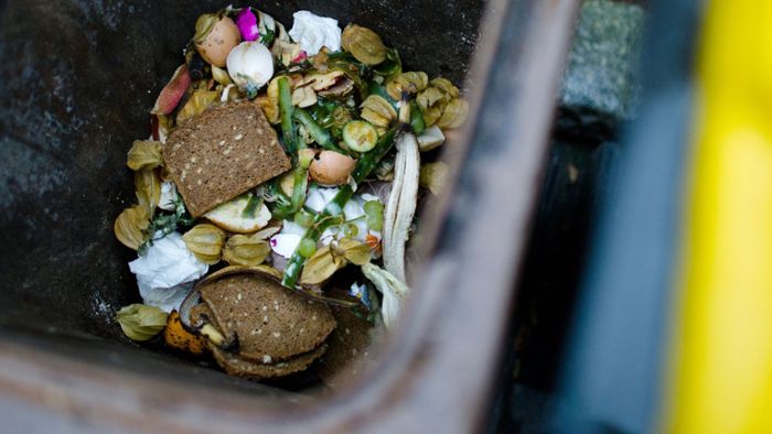 Können Müllsherriffs den Biobeutel retten?