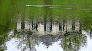 Die Fische  in den Seen bräuchten dringend Regen, viel Regen. Foto: Archivfoto: Achim Zweygarth