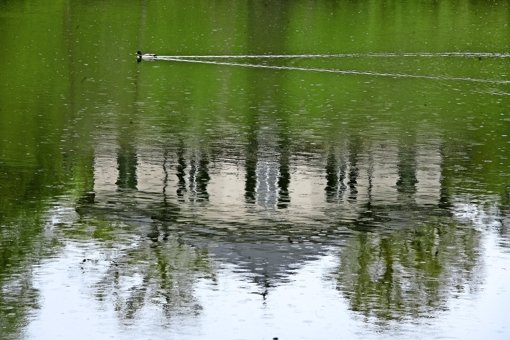 Die Fische  in den Seen bräuchten dringend Regen, viel Regen. Foto: Archivfoto: Achim Zweygarth