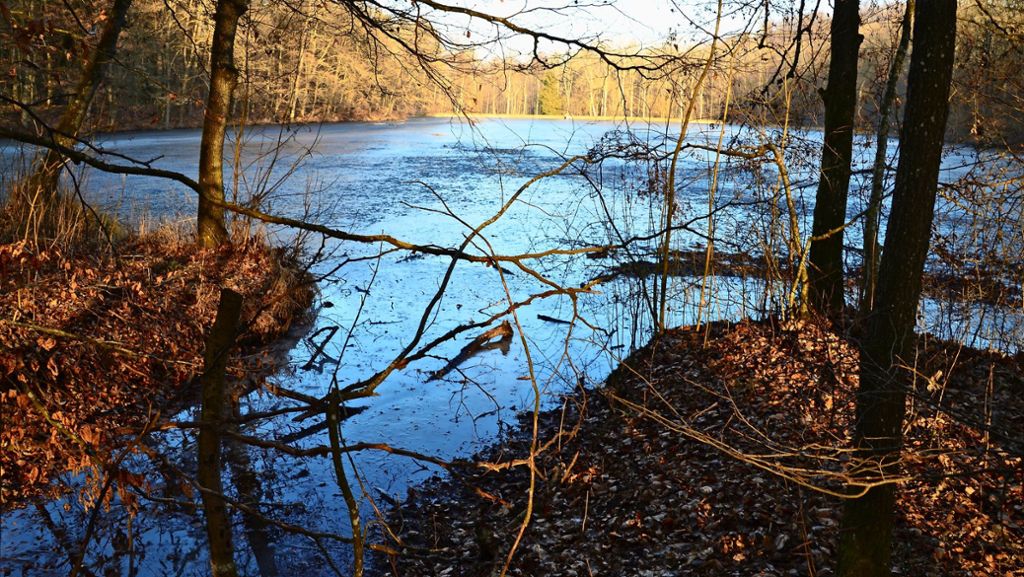 Stuttgart-Vaihingen: Kauf der Seen sei eine Kostenfalle für Angler