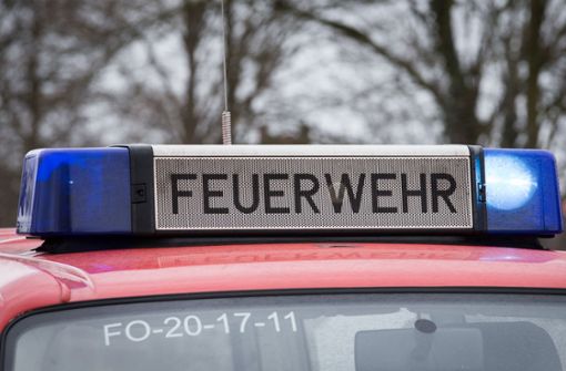 Am Wagen entstand laut Polizei wirtschaftlicher Totalschaden. (Symbolbild) Foto: dpa/Friso Gentsch