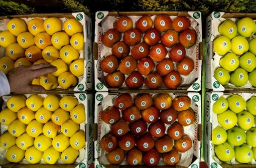 Bio-Äpfel der Sorten Opal, Elstar und Golden Delicious liegen während der Öko-Fachmesse Biofach am Stand des österreichischen Bundeslandes Steiermark in Kisten. Foto: dpa