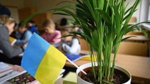 In Ludwigsburger Schulen fehlt es  unter anderem an Platz für die vielen Schüler aus der Ukraine. Foto: picture alliance/dpa/Robert Michael
