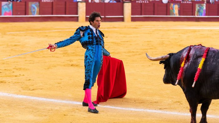 Stadt auf Mallorca darf Stierkampf nicht verbieten