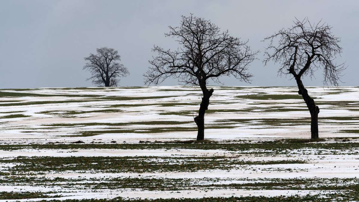 Klimawandel in Baden-Württemberg: Sind 17.6 Grad im Winter in Reutlingen normal?