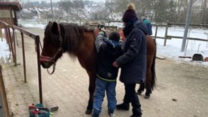 Aktion Weihnachten 22/23: Pferd hat magische Wirkung auf Achtjährigen