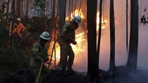 Verzweifelt kämpfen Feuerwehrmänner gegen die Flammen. Foto: AP