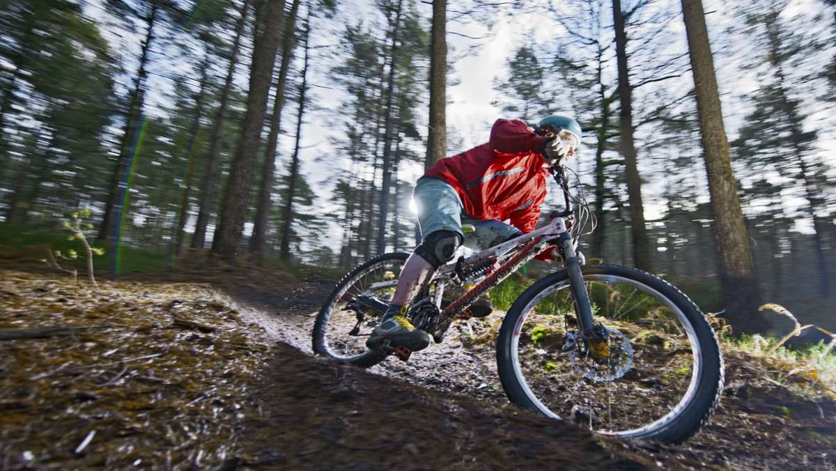 Radfahren im Stuttgarter Wald: Gesperrte Trails könnten Mountainbiker erst recht anziehen