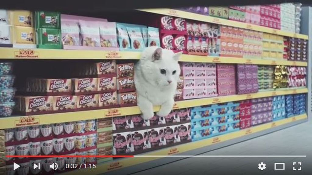 Tierische Werbespots: Wenn Katzen Einkaufswagen schieben
