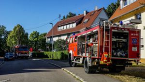 Ein Topf in einer Küche in Leinfelden-Echterdingen hat Feuer gefangen. Die Flammen griffen auf die Möbel über. Foto: SDMG/Kohls