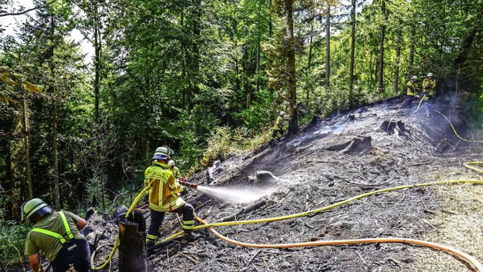 Waldbrandrisiko nimmt weiter zu
