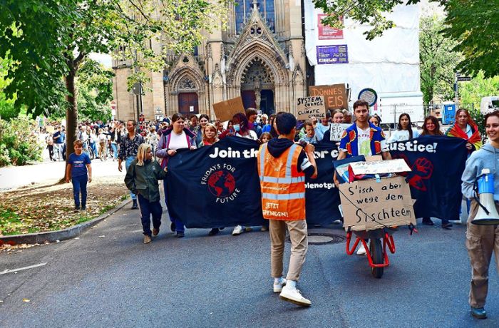 Globaler Klimastreik in Stuttgart: Junger Stuttgarter erklärt Klimaschutz zu seiner Priorität