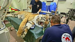 „Vier Pfoten“ rettet Tiere aus schlimmstem Zoo der Welt