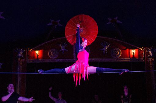 Luftige Akrobatik ist beim Weihnachtszirkus zu erleben. Foto:  