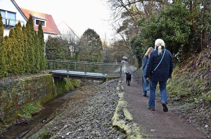 Bach in Rohracker: Naturnaher  Bußbach  als   Hochwasserschutz