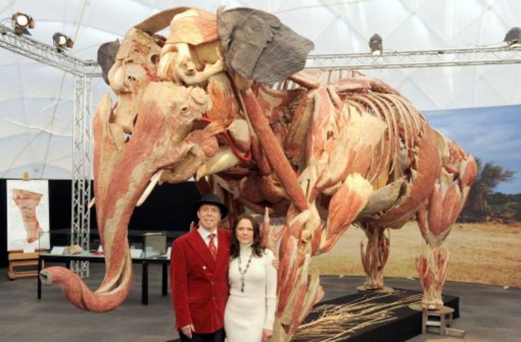 Gunther von Hagens und Gattin Angelina Whalley vor Elefantendame Samba.