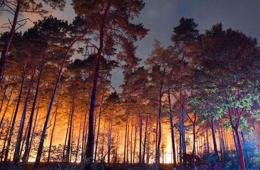 Hell erleuchtet ist ein brennender Wald nahe Klausdorf. Foto: dpa-Zentralbild