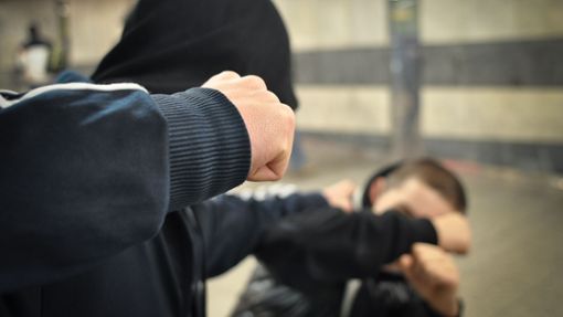 Der junge Mann soll den Bahnmitarbeiter nach einem verbalen Streit geschlagen haben (Symbolbild). Foto: Phillip Weingand / StZ