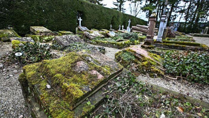 Die Rettung des „globalisierten Friedhof“ ist in Sicht