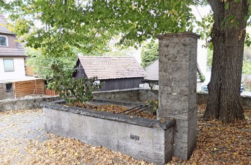 Der Bezirksbeirat Mühlhausen hat die Absicht, den historischen Brunnen zum Ortsjubiläum wieder zu aktivieren. Foto: Frey