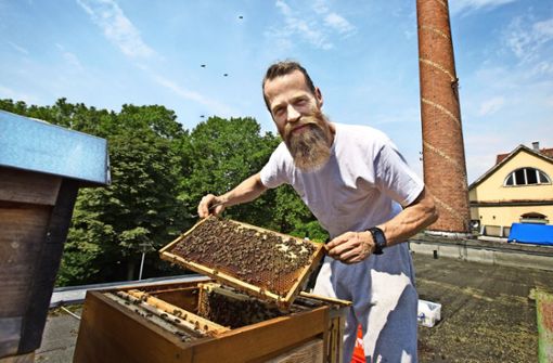 Peter Rust freut sich über die  Entwicklung seiner Bienen auf dem Lorch-Areal. Foto: Ines Rudel