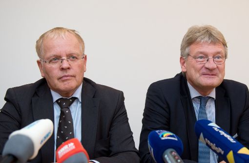 Emil Sänze (links), Jörg Meuthen und Rüdiger Klos. Foto: dpa