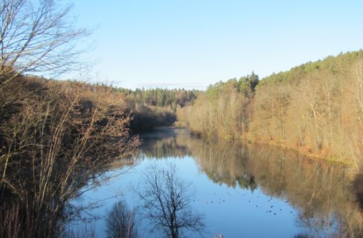 Der Landkreis will das Hochwasserrückhaltebecken Sulzbachstausee touristisch aufwerten. Eine mögliche Hängebrücke wird allerdings von vielen kritisiert. Foto: Claudia Barner