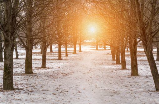 Ab dem 21.12.2022 werden die Tage wieder länger und heller. Hier finden Sie die wichtigsten Infos zur Wintersonnenwende.