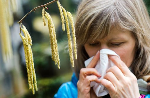 Der Pollenflug macht Allergikern ganz schön zu schaffen. Foto: dpa-Zentralbild