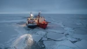 Forschungsschiff „Polarstern“ beginnt spektakuläre Eisdrift