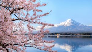 So sehen Sieger aus: der Fuji in Japan während der Kirschblüte. Foto: Getty Images/iStockphoto/Phattana