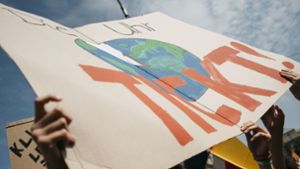 Seit Monaten gehen Schüler auf die Straße, um für mehr Klimaschutz zu demonstrieren. Foto: Leif Piechowski