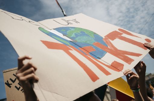 Seit Monaten gehen Schüler auf die Straße, um für mehr Klimaschutz zu demonstrieren. Foto: Leif Piechowski