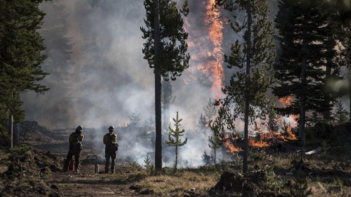 Großer Waldbrand wütet in Wyoming