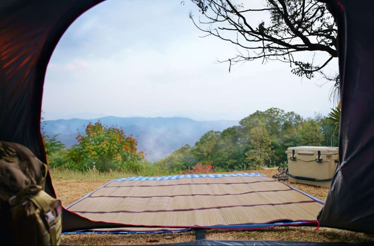 Top 5 Beste Camping Kühlbox kaufen 2023 Camping Kühlboxen