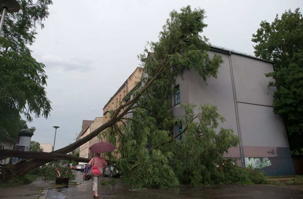 In Magdeburg lehnt ein abgeknickter Baum an einem Haus, nach einem schweren Gewitter.