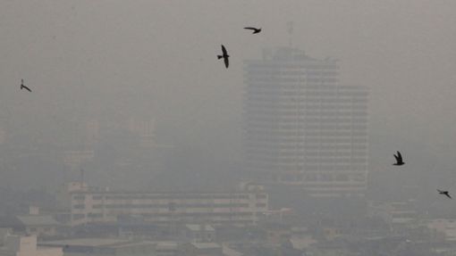 Die weltberühmte Tempelstadt Chiang Mai rangierte in der Statistik der Städte mit der stärksten Luftverschmutzung der Welt wieder an oberster Stelle. Foto: Wichai Taprieu/AP/dpa