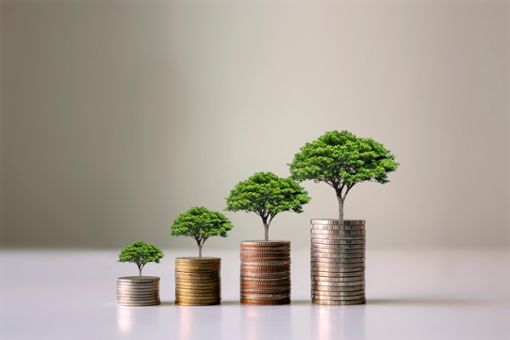 Das sind die Unterschiede zwischen den Finanzprodukten. Foto: MEE KO DONG / shutterstock.com