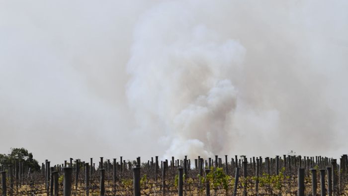 Rauch der Buschbrände erreicht Südamerika