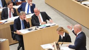 Der AfD-Vorsitzende Jörg Meuthen (links) im Stuttgarter Landtag. am Dienstag will sich die AfD wieder mit der abgespaltenen ABW zusammentun. (Archivfoto) Foto: dpa