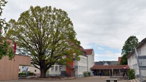 Das Schulgelände in Deizisau bietet genügend Platz für einen Anbau mit zusätzlichen Klassenzimmern. Foto: /Andreas Kaier