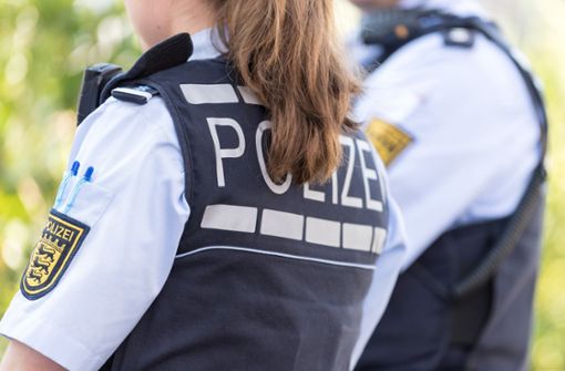 In Frankfurt am Main hat ein junger Mann eine Polizisten in den Main geschubst (Symbolbild). Foto: dpa