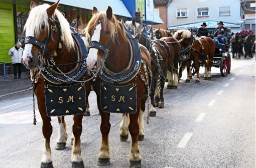 Am Wochenende steht in der Stadt alles im Zeichen der Pferde. Foto: Archiv/Götz Schultheiss