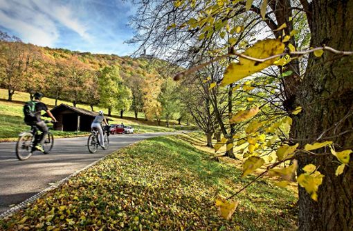 Der Landkreis Esslingen hat auch für Radfahrer sehr viel zu bieten – etwa eine herbstliche Tour auf die Burg Teck. Foto: Michael Steinert