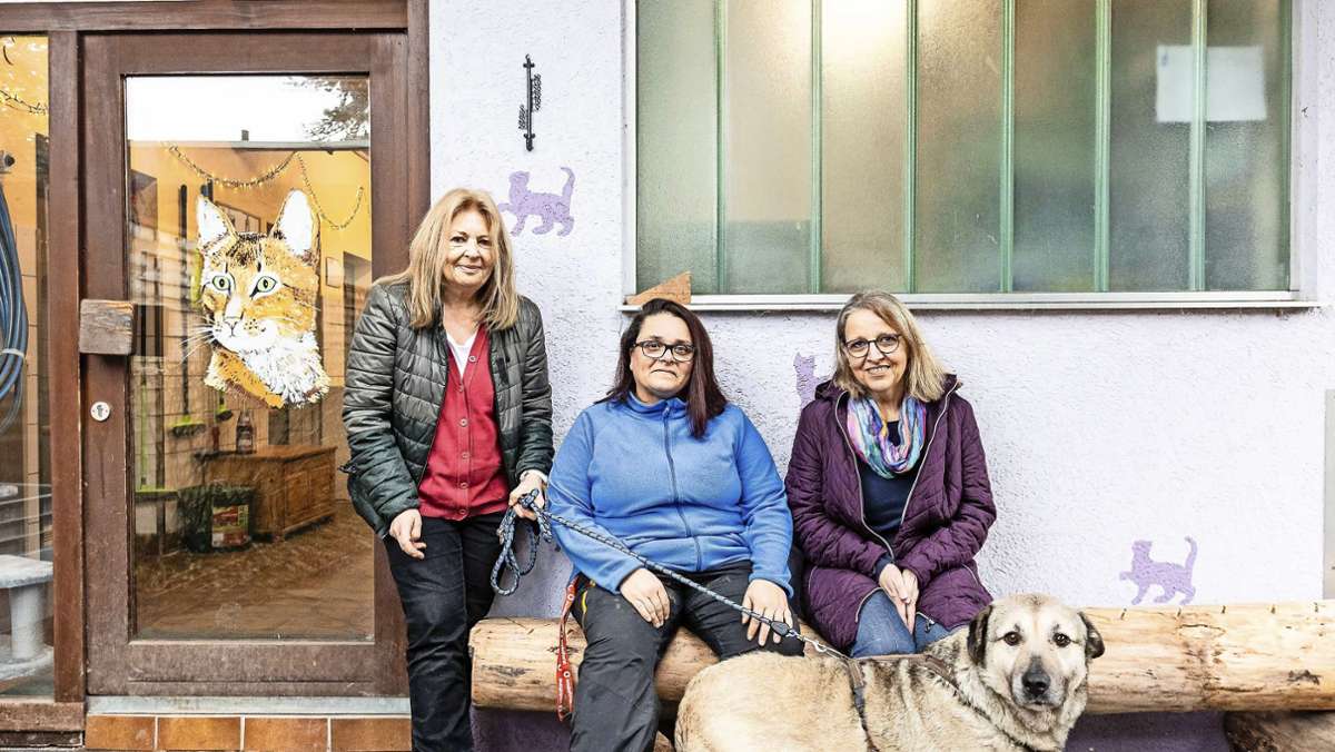 Kreistierheim und Tierschutzheim in Böblingen: Harte Zeiten für die Tierheime