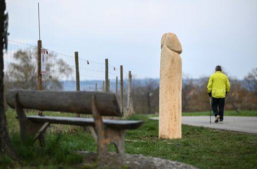 Ein etwa zwei Meter hoher Holzpenis ist bei Ravensburg aufgetaucht. Foto: dpa/Felix Kästle