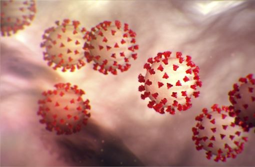 Die Illustration zeigt das neuartige Coronavirus 2o19-nCoV. Foto: dpa/Center for Disease Control