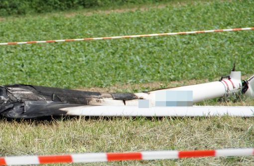Der Pilot dieses Kleinflugzeug ist bei dem Absturz ums Leben gekommen. Foto: SDMG
